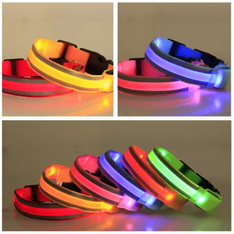 COLLAR LUMINOSO PARA MASCOTAS - OFERTA 2X1