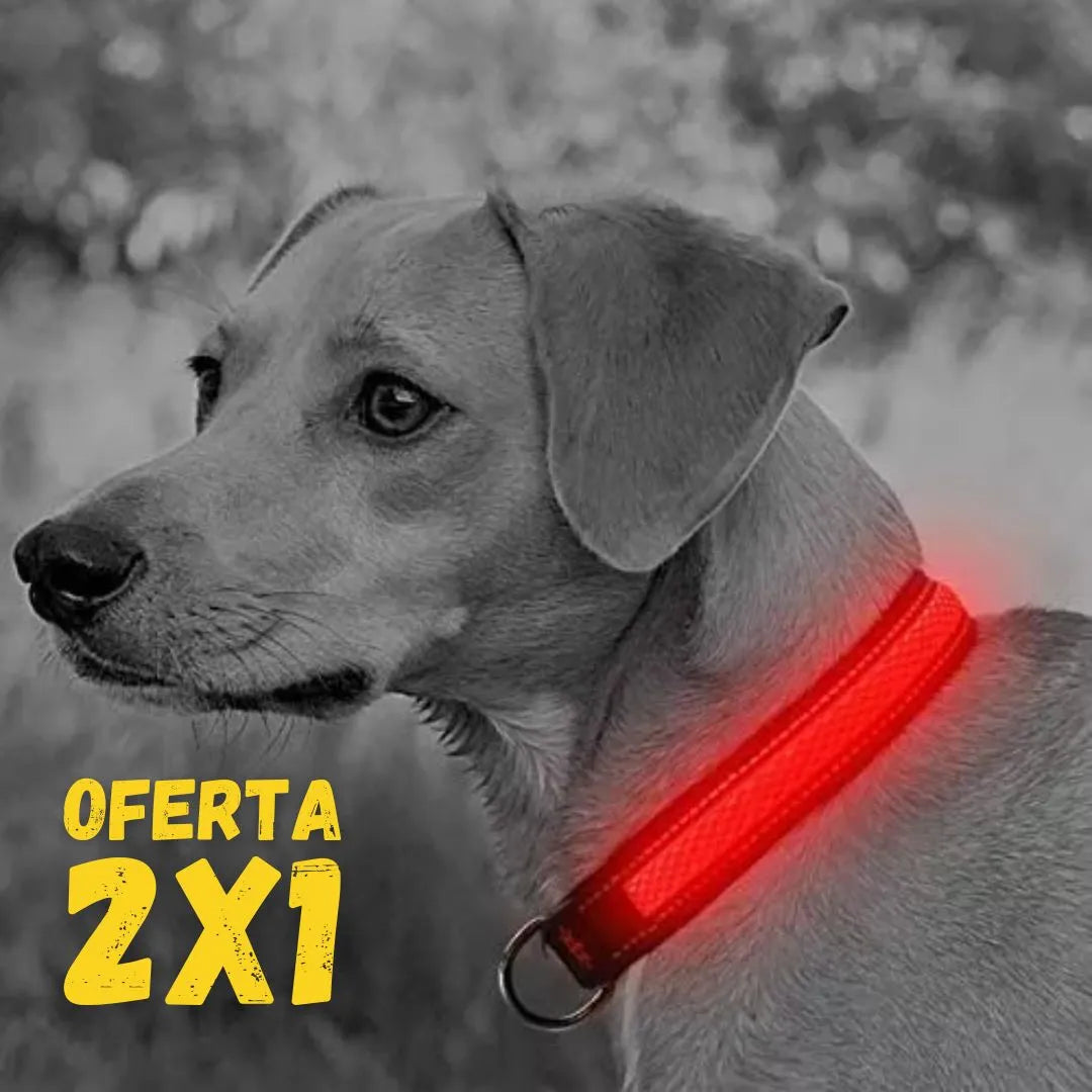 COLLAR LUMINOSO PARA MASCOTAS 2X1